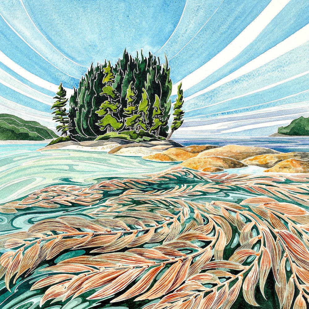 Kelp Forest 12" x 12"